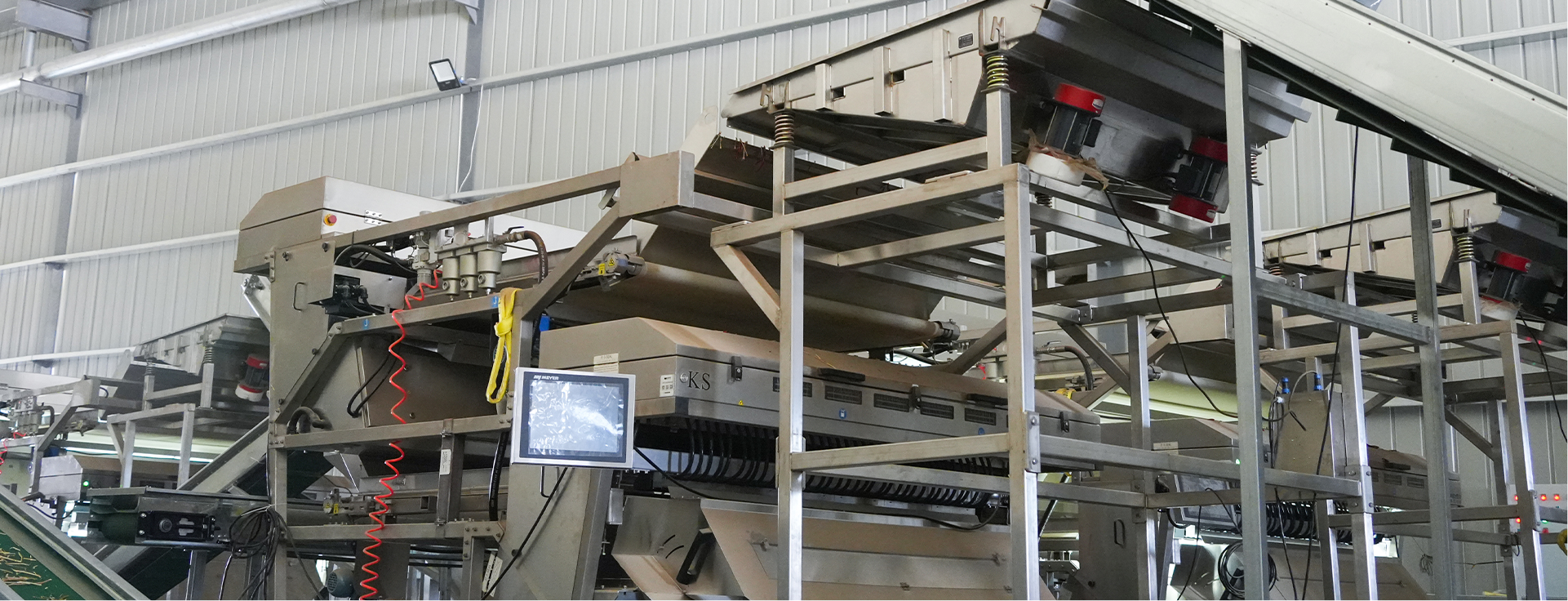 Chili color selection