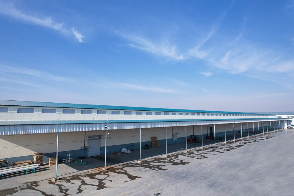 AG试玩平台食物