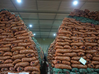 Refrigerator Compartment