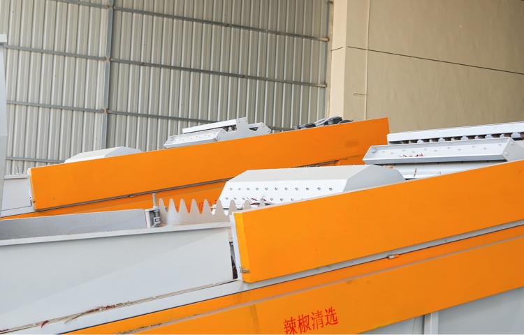 Chili cleaning equipment